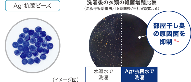抗菌成分が雑菌の繁殖を防ぐ(イメージ図)